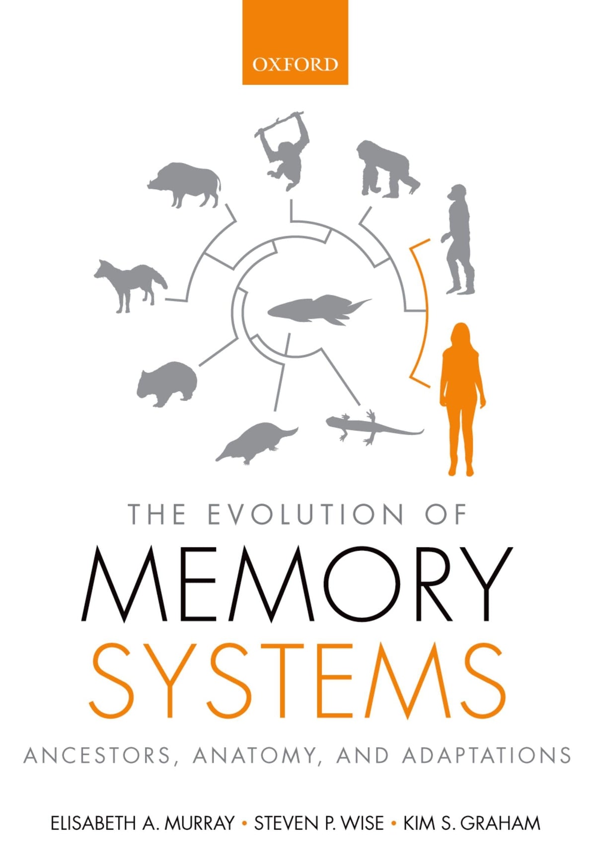 The Evolution of Memory Systems: Ancestors, Anatomy, and Adaptations: Reprint Edition
