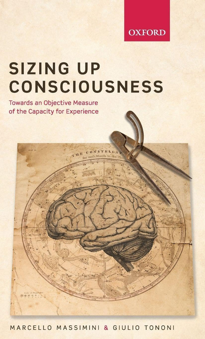 Sizing Up Consciousness: Towards an Objective Measure of the Capacity for Experience: Translation Edition