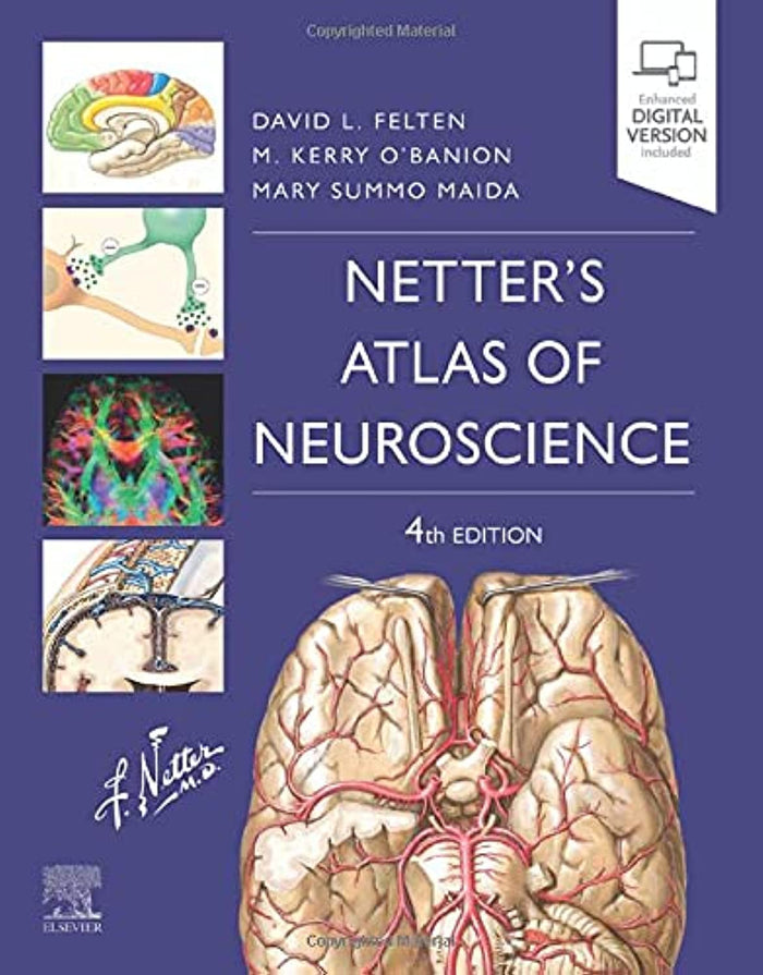 Netter's Atlas of Neuroscience (Netter Basic Science): 4th Edition