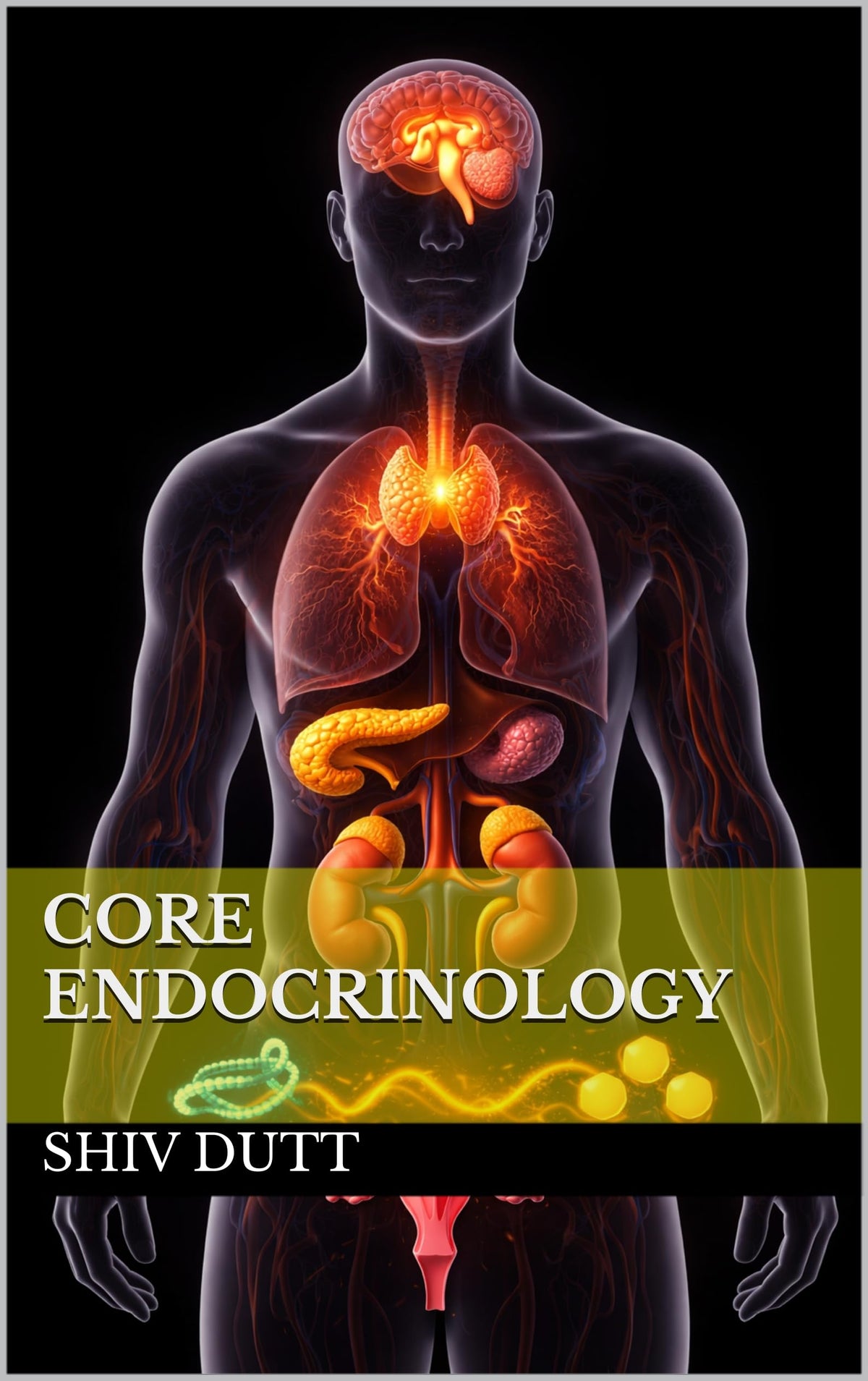 Core Endocrinology (Human Physiology Book 7)