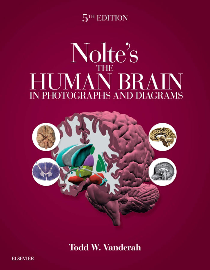 Nolte's The Human Brain in Photographs and Diagrams E-Book: 5th Edition, Kindle Edition