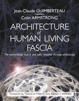 Architecture of Human Living Fascia: The Extracellular Matrix and Cells Revealed Through Endoscopy