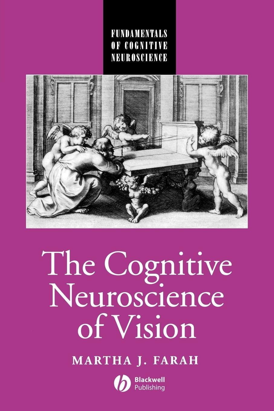 The Cognitive Neuroscience of Vision: 1st Edition