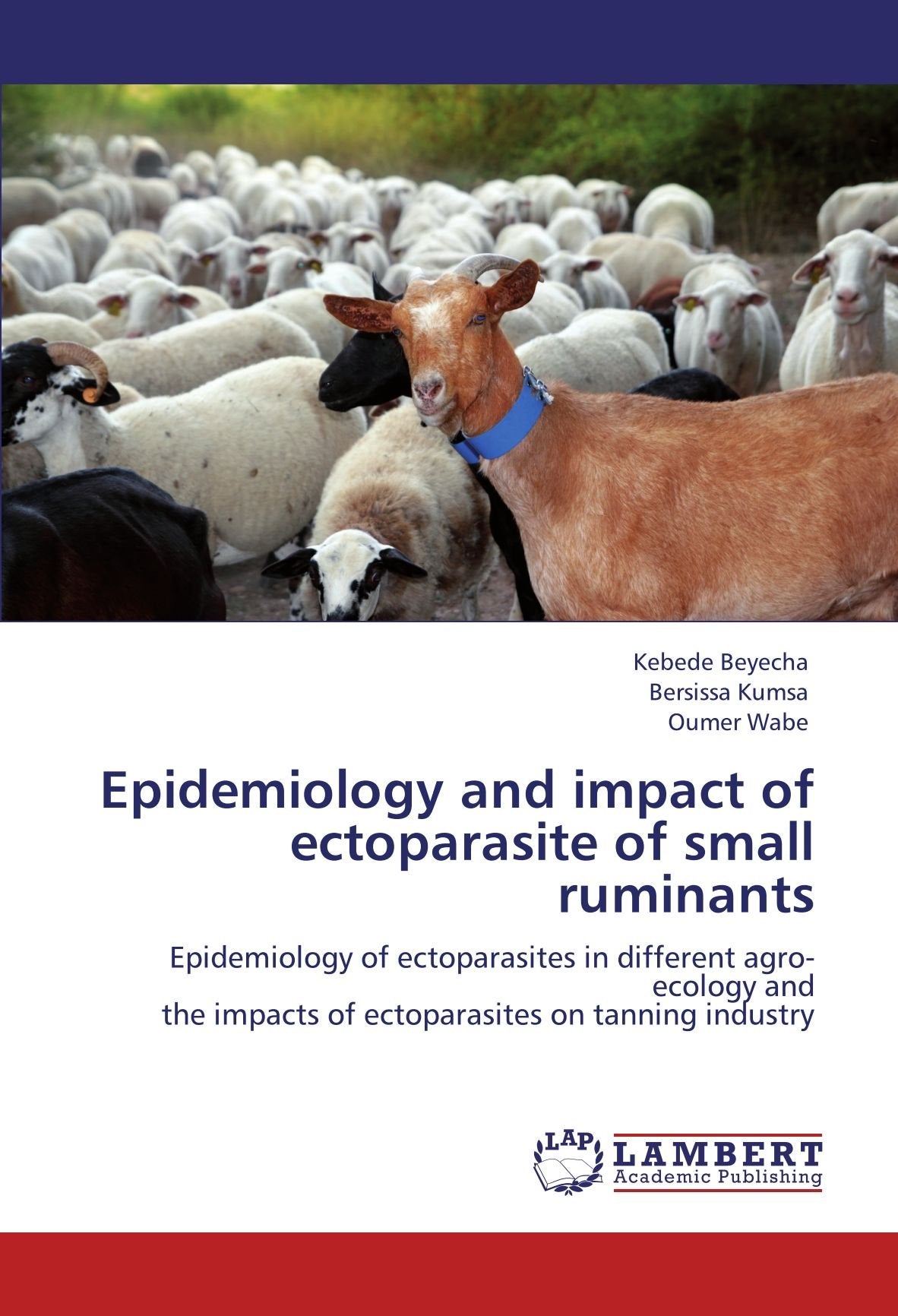 Epidemiology and impact of ectoparasite of small ruminants: Epidemiology of ectoparasites in different agro-ecology and the impacts of ectoparasites on tanning industry