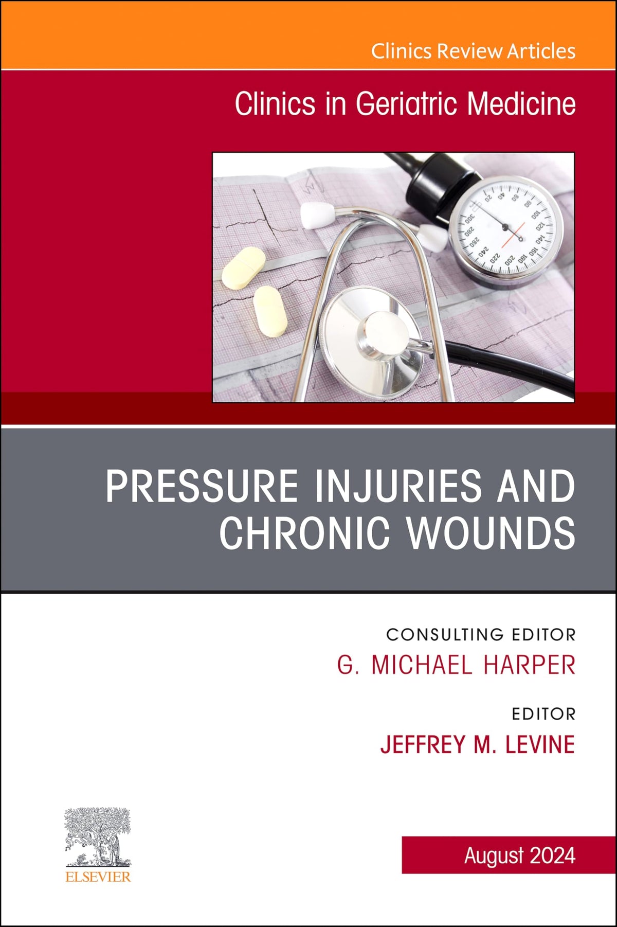 Pressure Injuries & Chronic Wounds, An Issue of Clinics in Geriatric Medicine, E-Book (The Clinics: Internal Medicine)