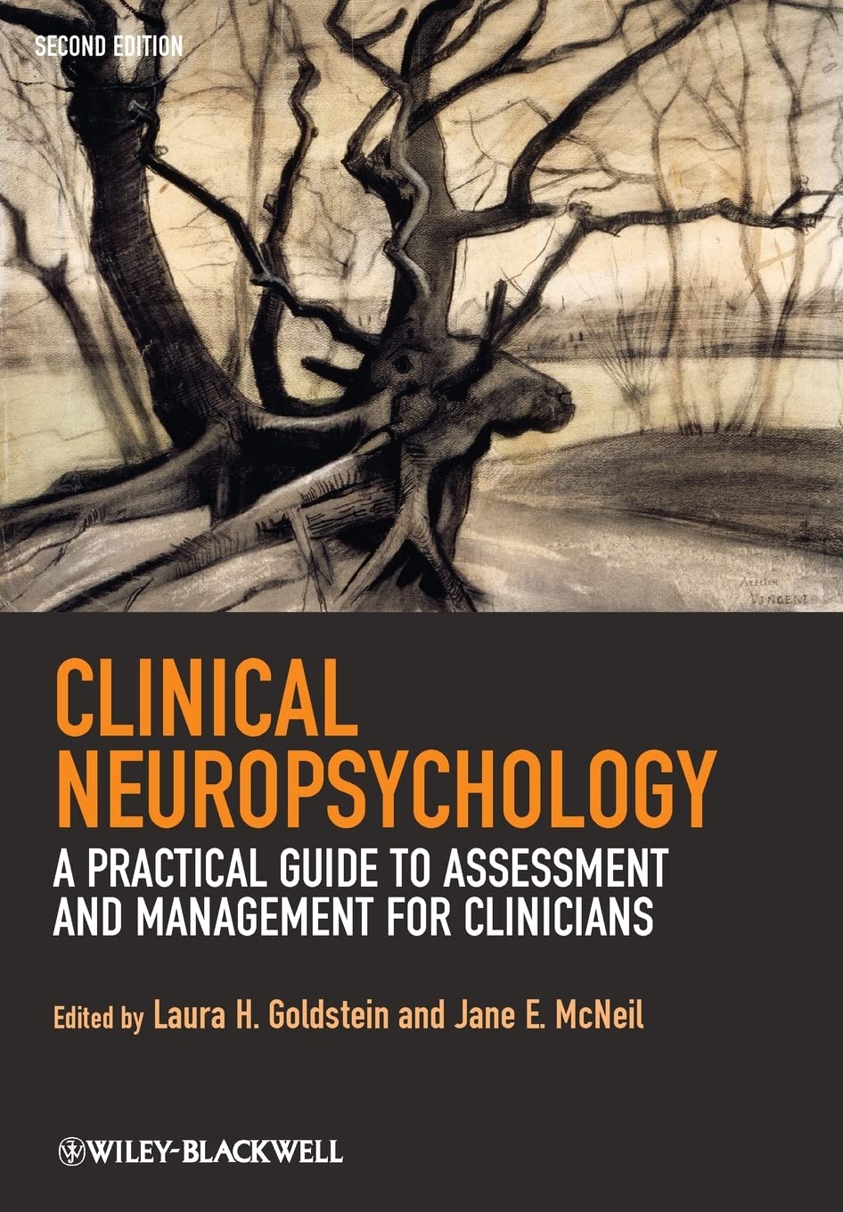 Clinical Neuropsychology: A Practical Guide to Assessment and Management for Clinicians