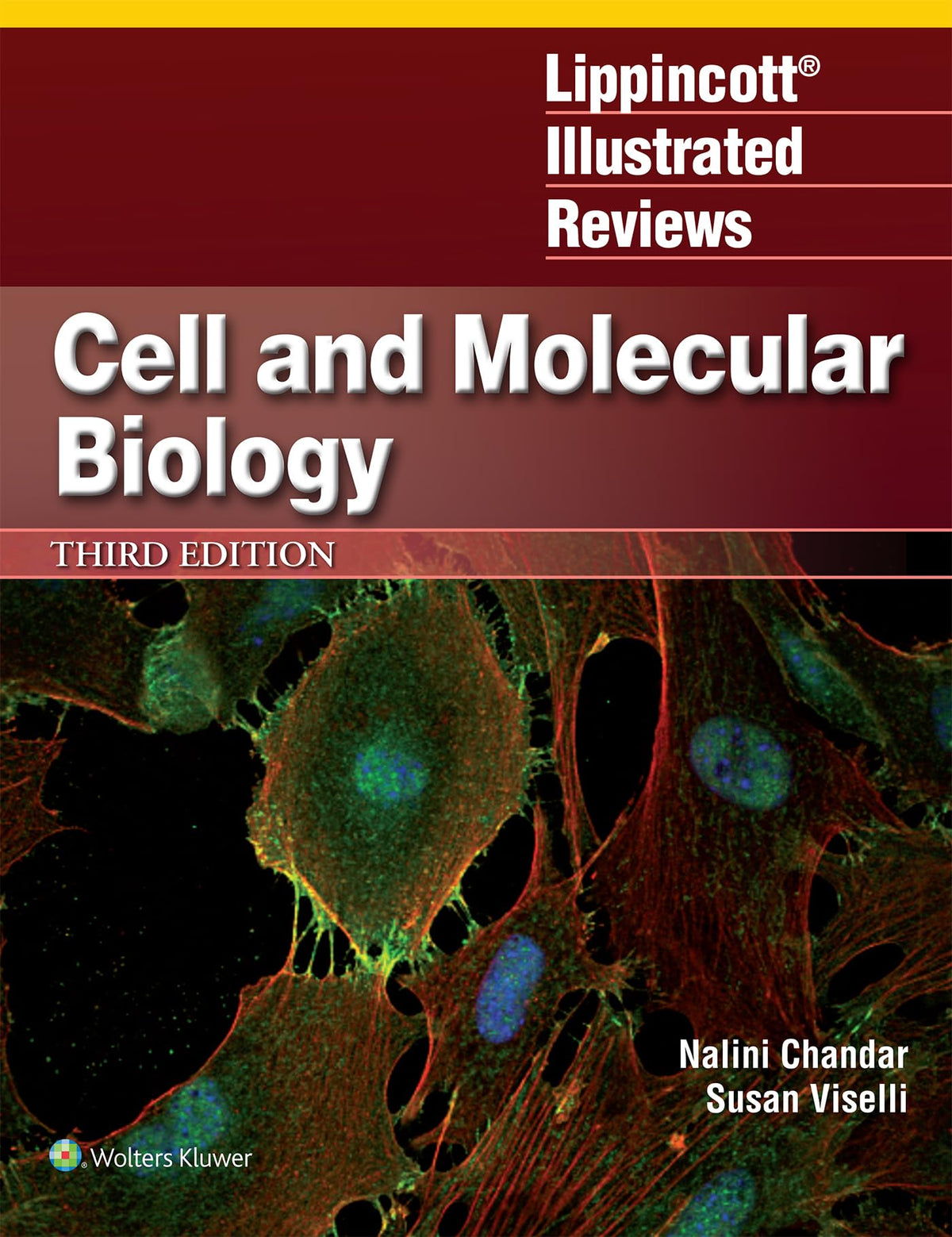 Lippincott Illustrated Reviews: Cell and Molecular Biology: Third, North American Edition