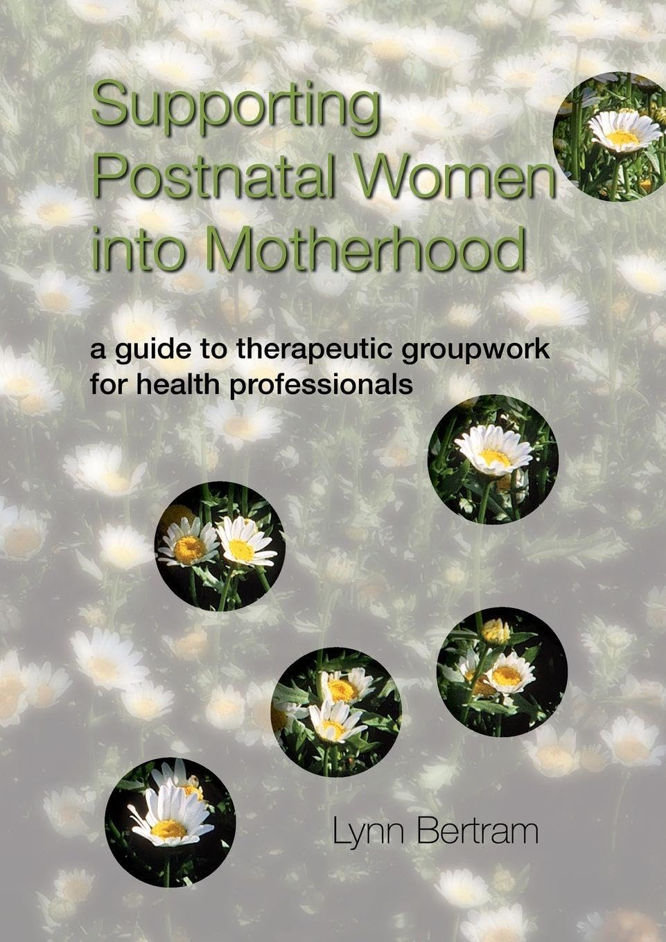 Supporting Postnatal Women into Motherhood: 1st Edition