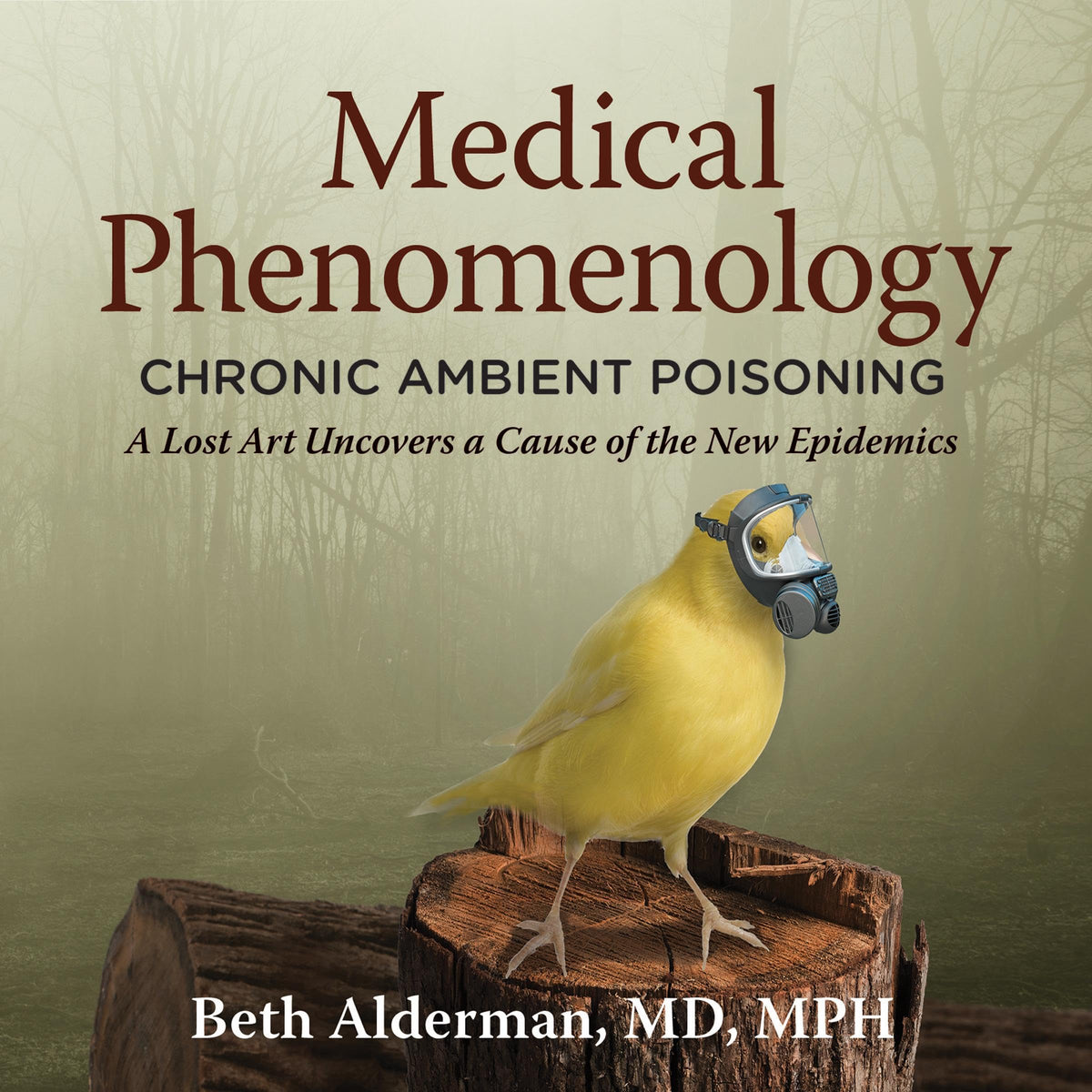 Medical Phenomenology: Chronic Ambient Poisoning