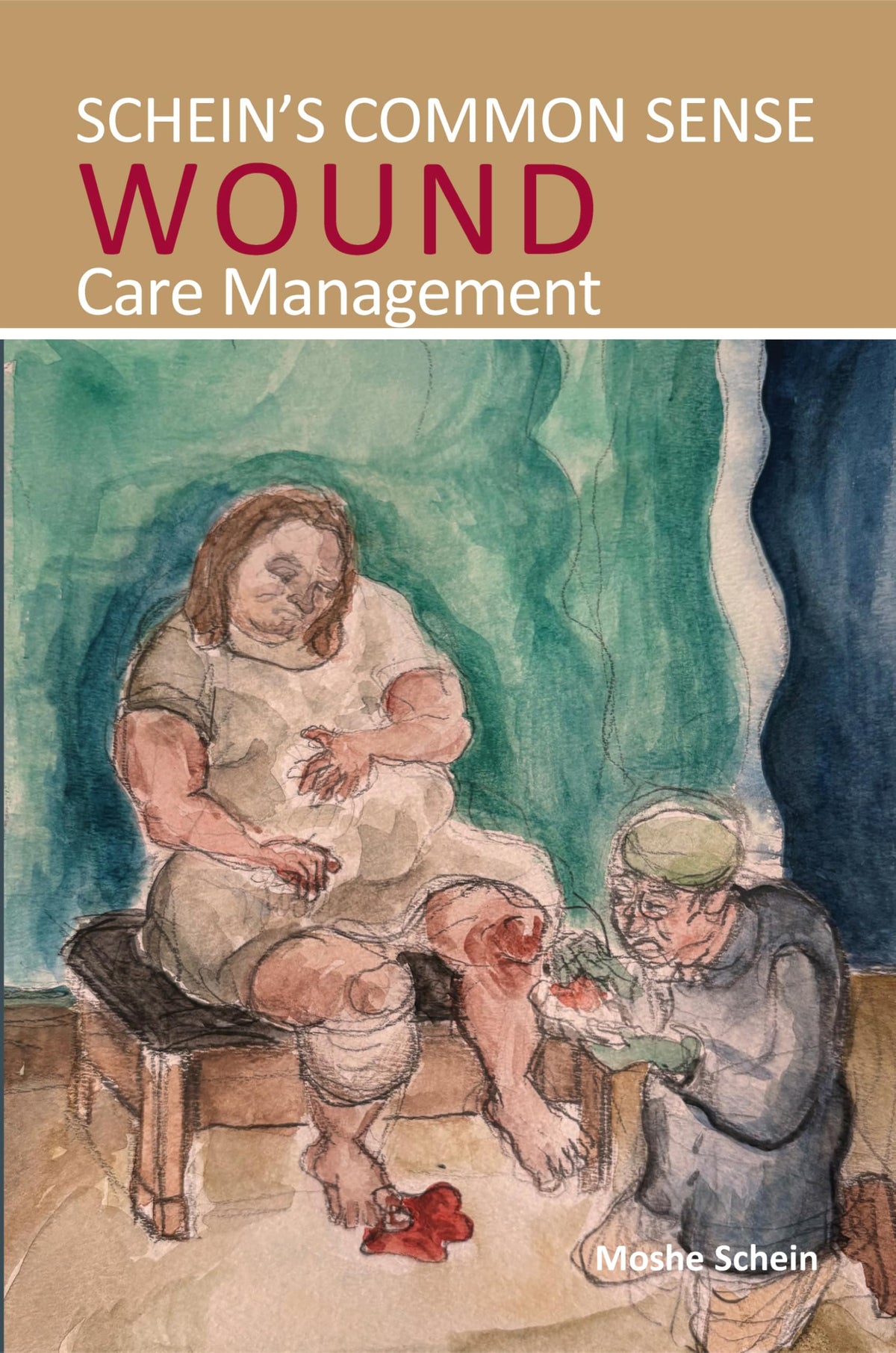 Schein’s Common Sense Wound Care Management: 1st Edition