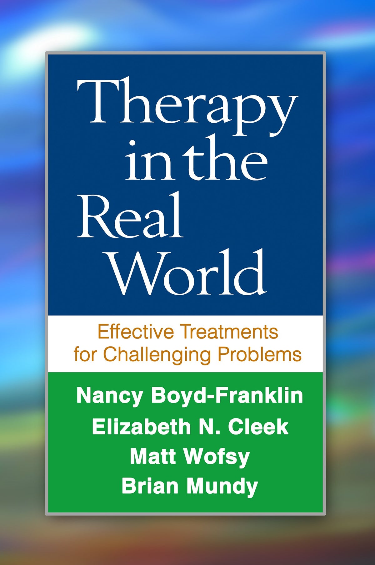 Therapy in the Real World: Effective Treatments for Challenging Problems: Reprint Edition