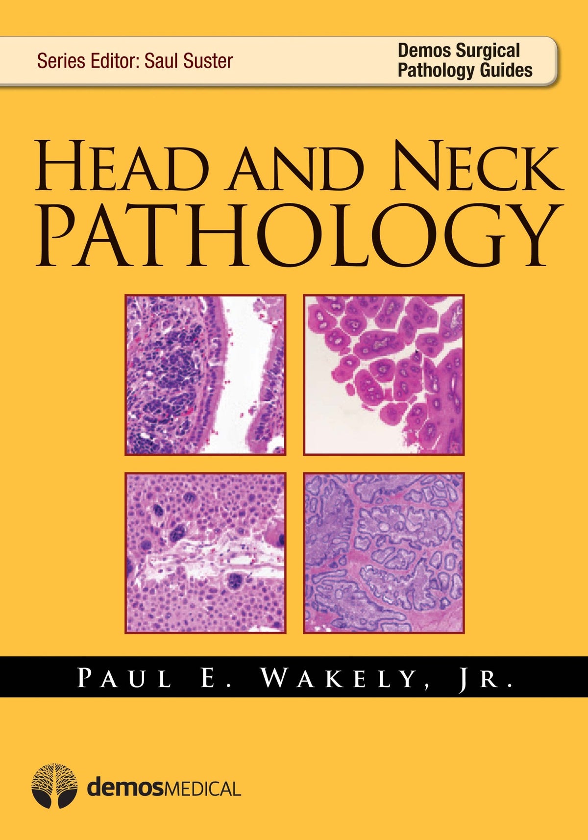 Head and Neck Pathology (Demos Surgical Pathology Guides): 1st Edition