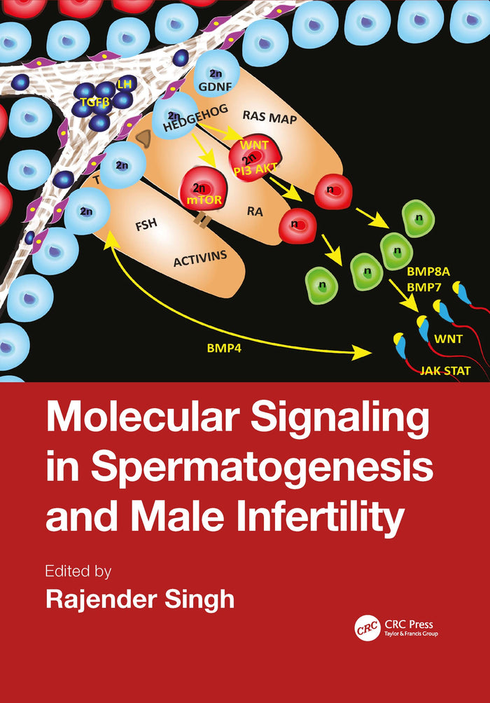 Molecular Signaling in Spermatogenesis and Male Infertility: 1st Edition