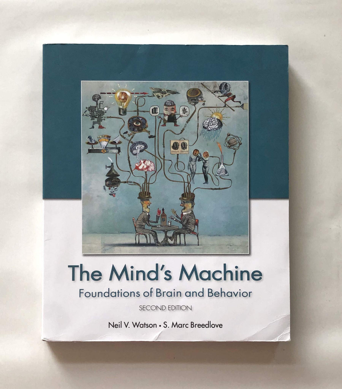The Mind's Machine: 2nd Edition