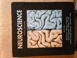 Neuroscience: 5th Edition