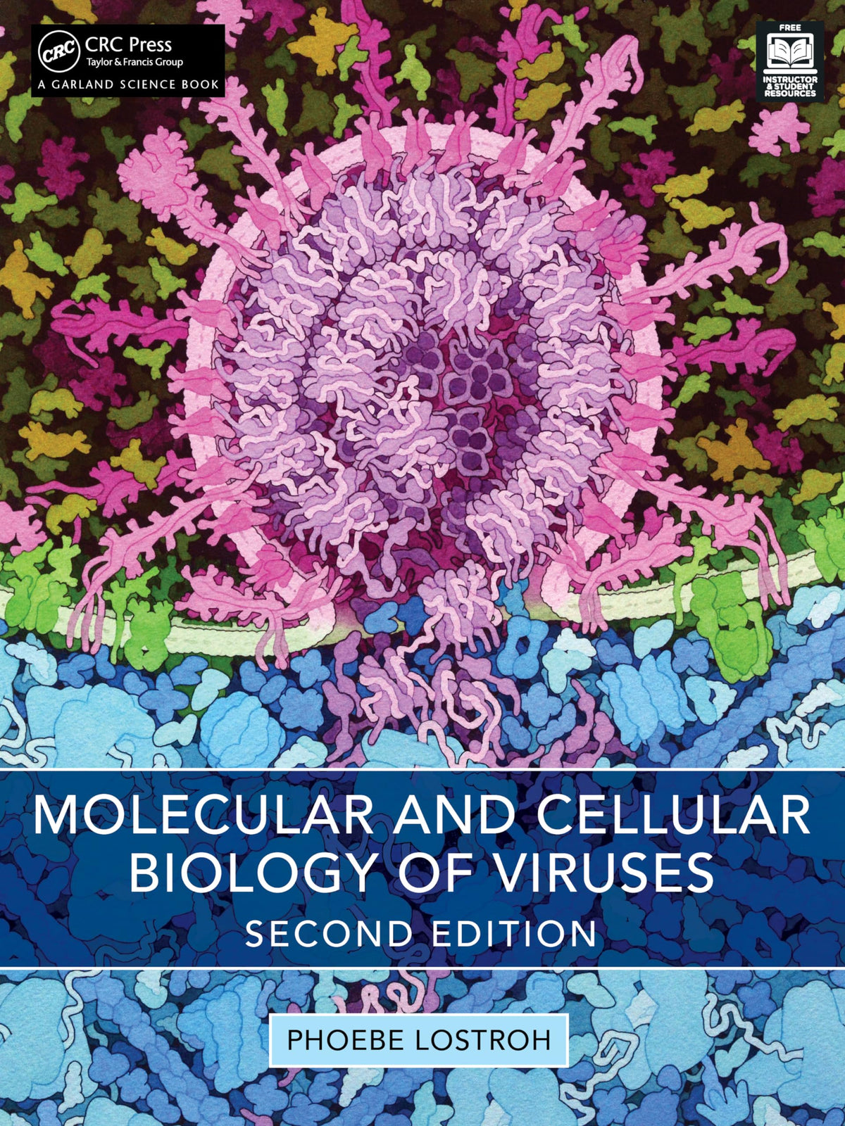Molecular and Cellular Biology of Viruses: 2nd Edition