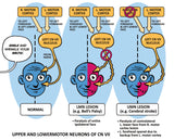 Clinical Pathophysiology Made Ridiculously Simple: Color Edition