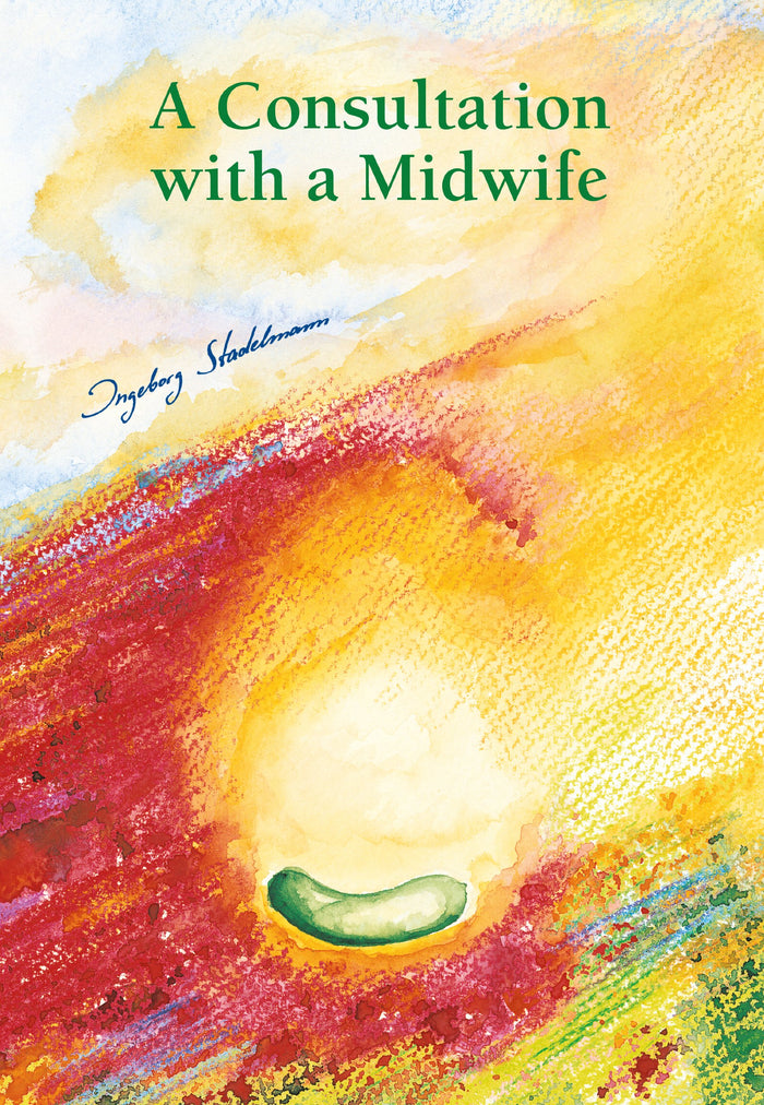 A Consultation with a Midwife: Kindle Edition